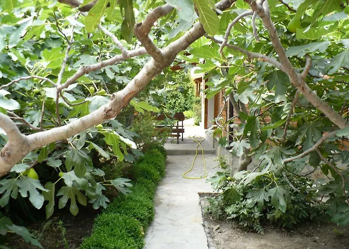 Ferienpark And Panorama