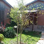 And Panorama