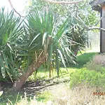 And Panorama