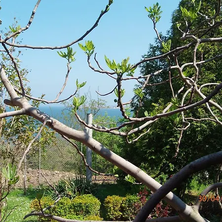 Holiday park And Panorama Chernomorets