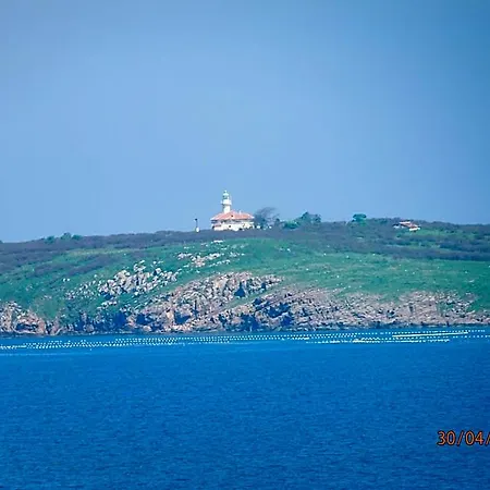 And Panorama