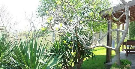 And Panorama 홀리데이파크