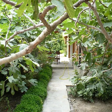 홀리데이파크 And Panorama