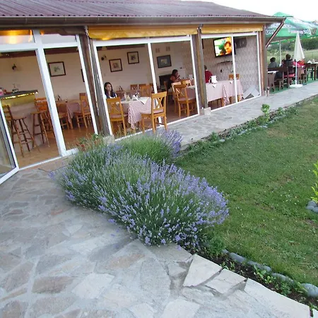 홀리데이파크 And Panorama