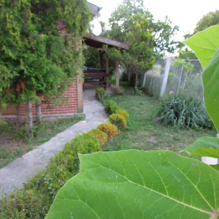 And Panorama 홀리데이파크