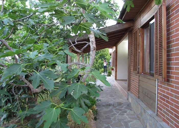 And Panorama 3* Τσερνομόρετς